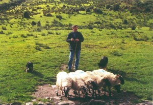 irl1999 ring of kerry 3